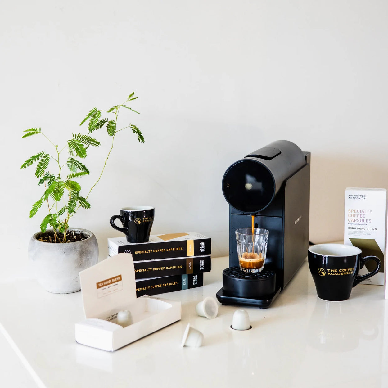 Coffee Brewing Equipment